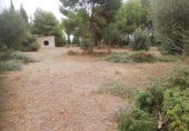 Terreno no urbanizable en venta en la España, Bétera, ref: TR395478 foto