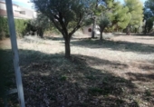 Terreno no urbanizable en venta en la España, Bétera, ref: TR395478 foto