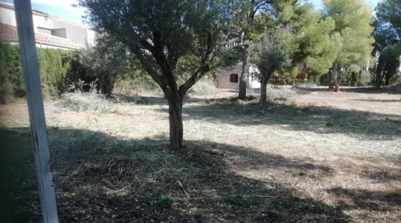 València - Bétera - 1446m2