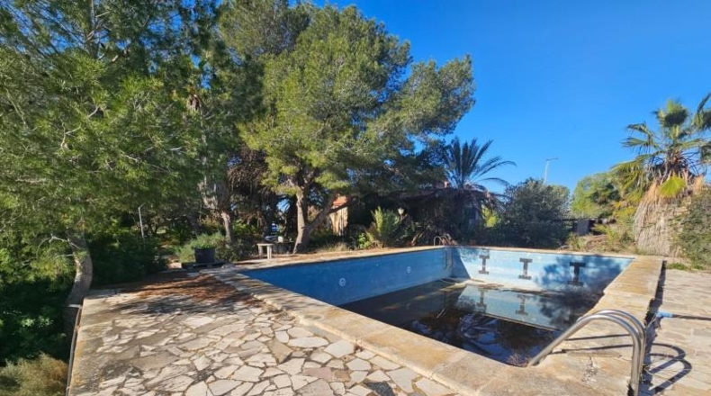 Alicante - Torrellano - 10000m2