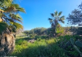 Chalet independiente con terreno en venta en la España, Torrellano, ref: TR399903 foto
