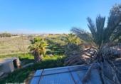 Chalet independiente con terreno en venta en la España, Torrellano, ref: TR399903 foto
