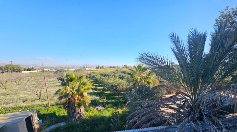 Alicante - Torrellano - 10000m2