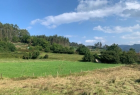 Pravia 600&nbsp;m² 