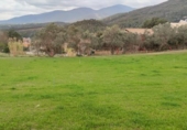 Suelo urbano en venta en la España, Campins, ref: TR121763 foto