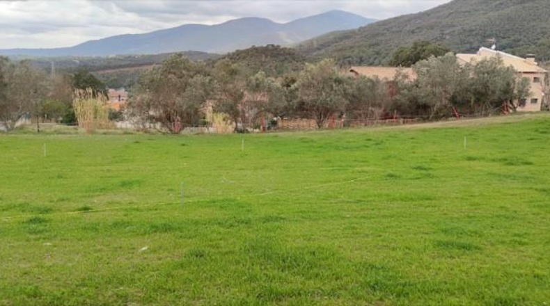 Barcelona - Campins - 1647m2