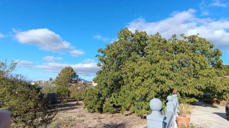 Córdoba - Lucena - 2500m2