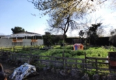 Xalet independent amb terreny en venda a la España, Lucena, ref.: TR242199 foto