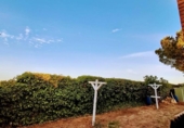 Chalet independiente con terreno en venta en la España, Alarilla, ref: TR335944 foto