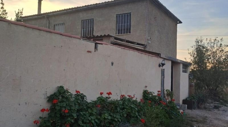 Alicante - Crevillent - 10000m2