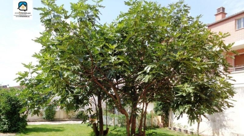 Valladolid - Santovenia de Pisuerga - 326m2
