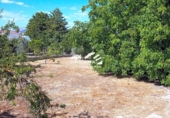 Chalet independiente con terreno en venta en la España, Lucena, ref: TR153301 foto