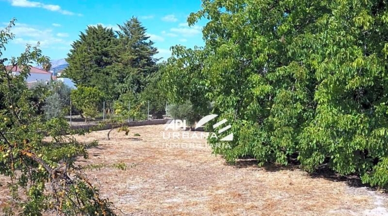 Córdoba - Lucena - 2500m2