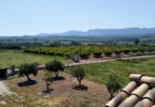 Country house with land for sale on España, La Pobla del Duc, ref: TR402612 photo