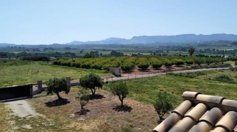 Valencia - Puebla del Duc - 13000m2