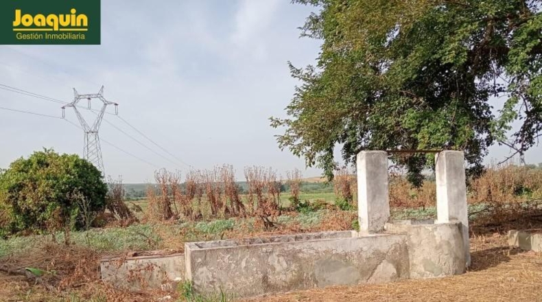 Cordova - Córdoba - 60000m2