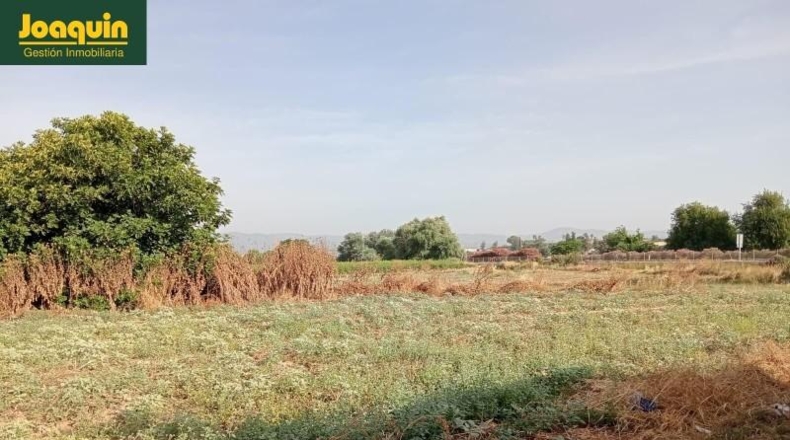 Cordova - Córdoba - 60000m2