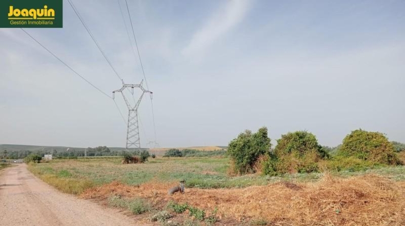 Cordova - Córdoba - 60000m2