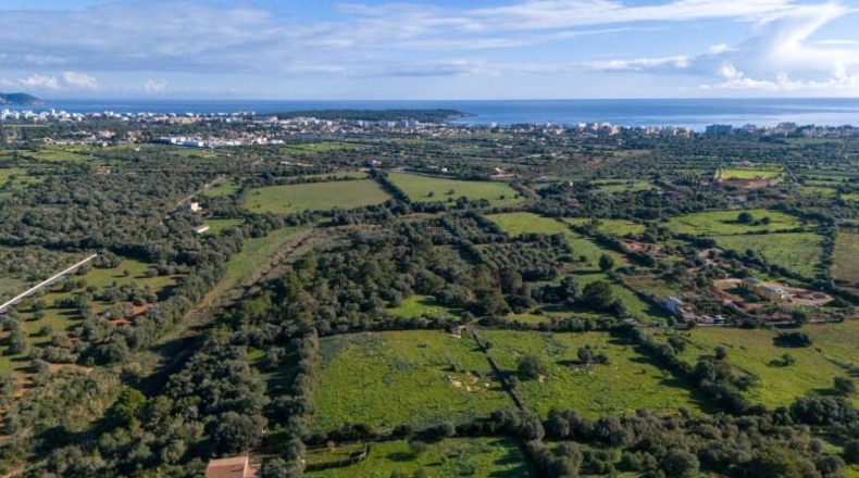 Islas Baleares - Manacor - 17757m2