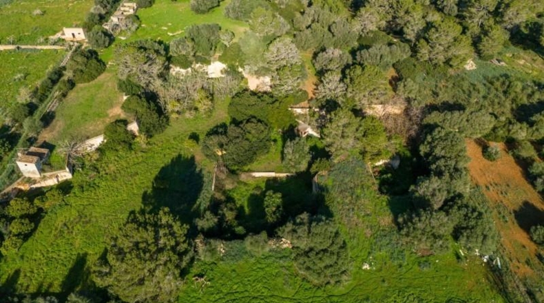 Islas Baleares - Manacor - 17757m2