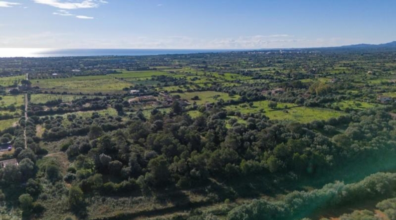 Islas Baleares - Manacor - 17757m2