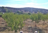 Finca rústica en venda a la España, Castilblanco de los Arroyos, ref.: TR295939 foto