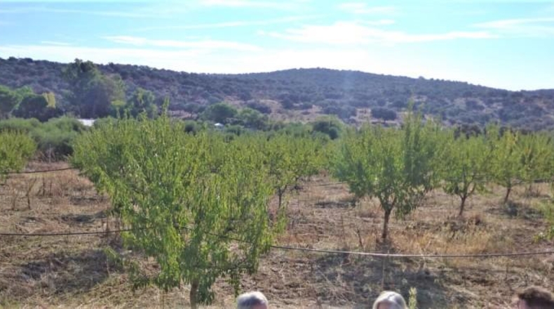 Sevilla - Castilblanco de los Arroyos - 13864m2