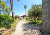 Chalet independiente con terreno en venta en la España, Palma de Gandía, ref: TR246345 foto