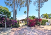 Chalet independiente con terreno en venta en la España, Palma de Gandía, ref: TR246345 foto