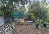 Detached villa with land for sale on España, Esparreguera, ref: TR346057 photo