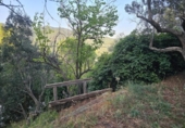 Detached villa with land for sale on España, Esparreguera, ref: TR346057 photo
