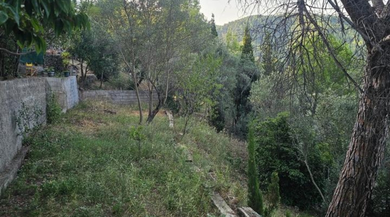 Barcelona - Esparreguera - 1000m2