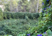 Chalet independiente con terreno en venta en la España, Olivella, ref: TR348429 foto