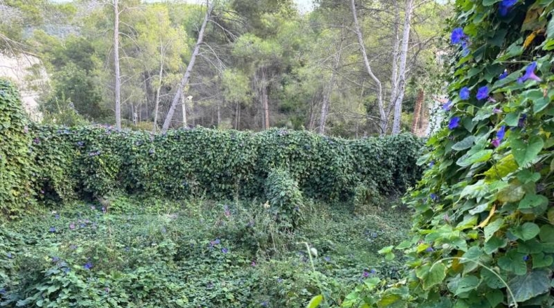 Barcelona - Olivella - 649m2