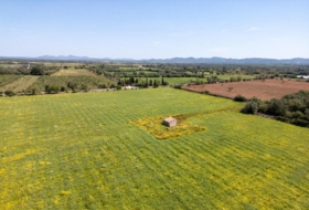 Porreras 29976&nbsp;m²