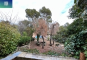 Detached villa with land for sale on España, Fonollosa, ref: TR142352 photo