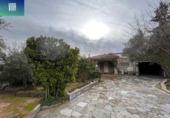 Detached villa with land for sale on España, Fonollosa, ref: TR142352 photo