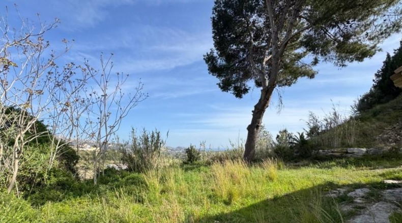 Alicante - Teulada - 7318m2