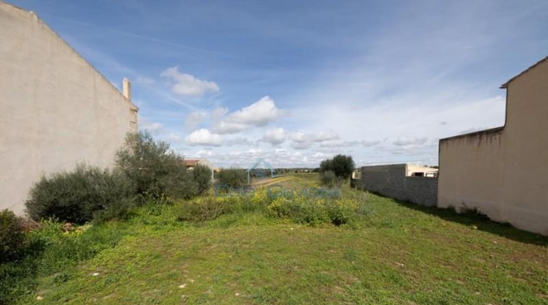 Illes Balears - ses Salines - 391m2