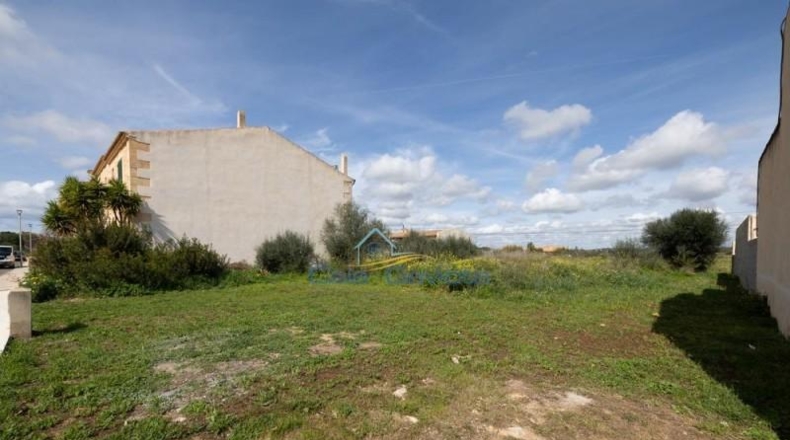 Illes Balears - ses Salines - 391m2