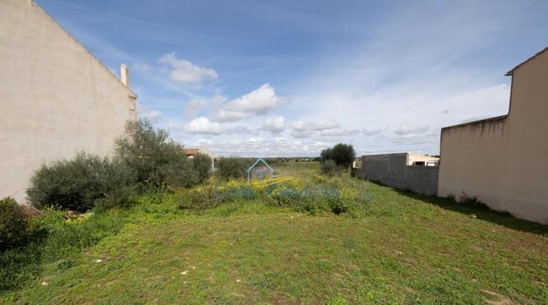 Illes Balears - ses Salines - 391m2