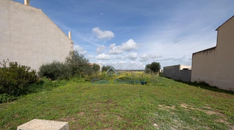Illes Balears - ses Salines - 391m2