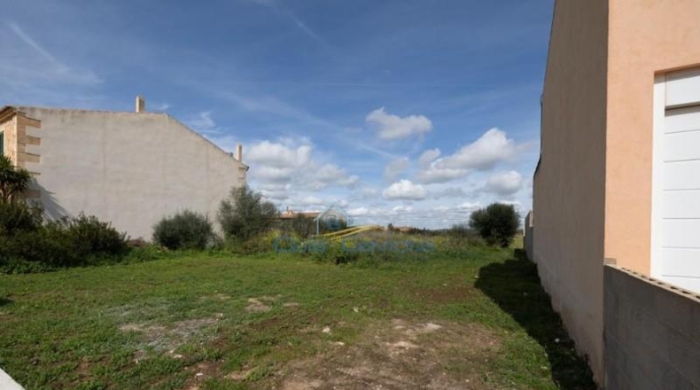 Illes Balears - ses Salines - 391m2