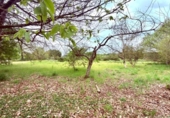 Finca rústica en venda a la España, Carballedo, ref.: TR405857 foto