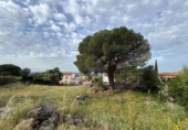 Suelo urbano en venta en la España, Pau, ref: TR404464 foto