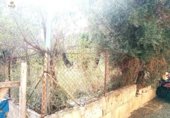 Suelo urbano en venta en la España, Selva, ref: TR174943 foto