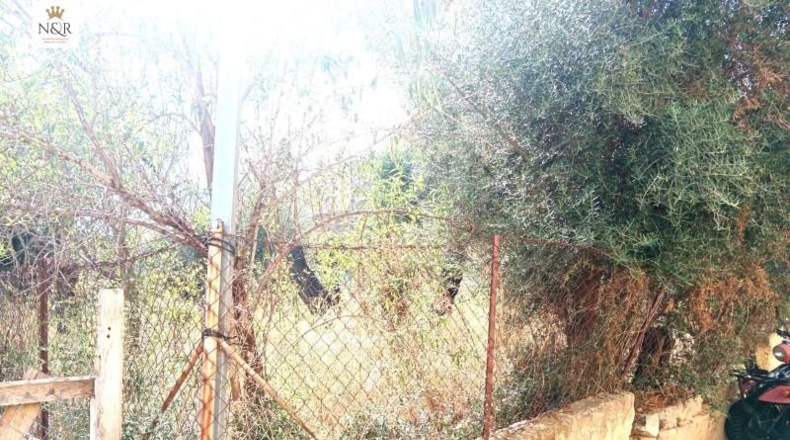 Balearic Islands - Selva - 361m2