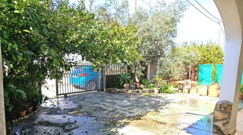Valencia - Олива - 227m2