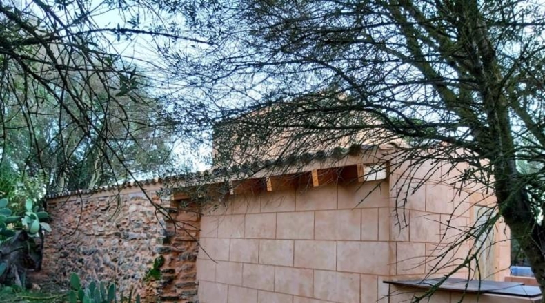 Balearic Islands - Campos - 10000m2