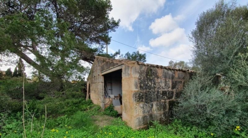 Balearic Islands - Campos - 10000m2
